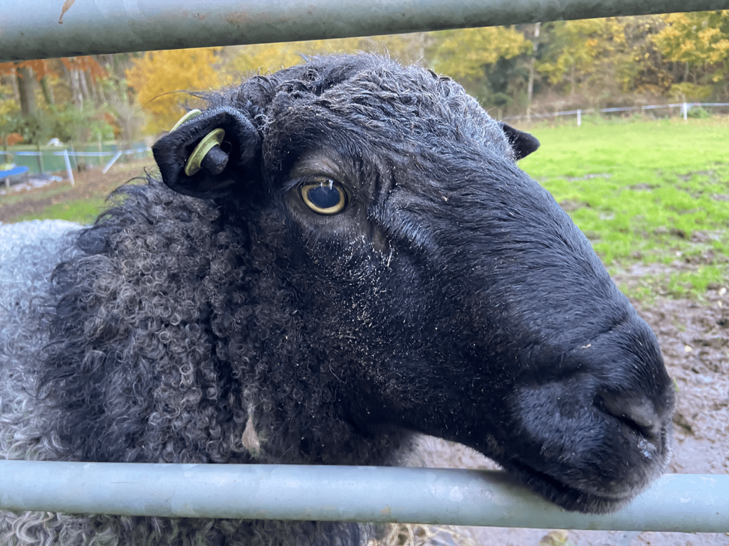 Beaty Consultancy - Cloud Consultancy in Cumbria